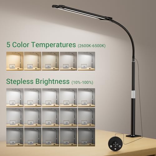 LED Desk Lamp with Clamp, 23.5-31.5 Inches, Black
