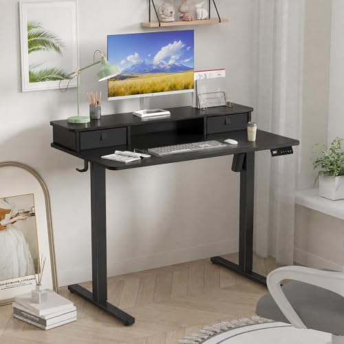 40" x 24" Electric Standing Desk with Dual Drawers, Black