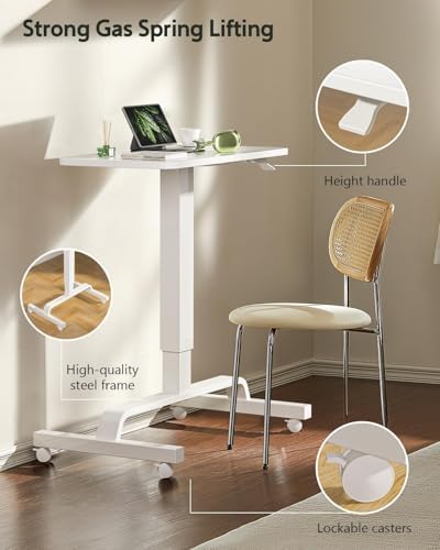 WALKINGDESK Height Adjustable Mobile Standing Desk with 360 Swivel Casters, 29"-45" Pneumatic Rolling Desk on Wheels, Perfect for Home Office, Bedroom, Living Room, White