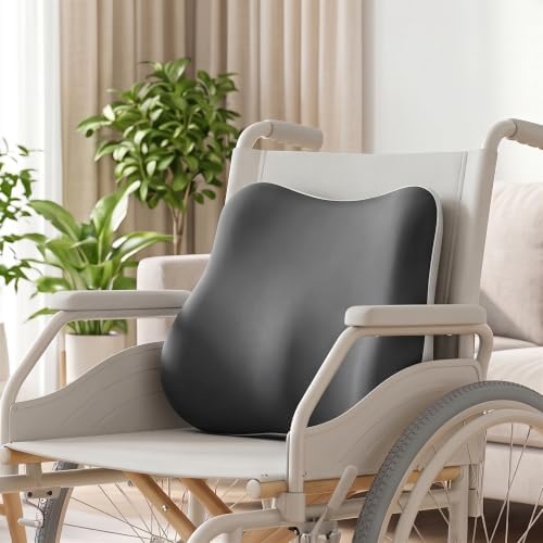 Lumbar Support Pillow, Ergonomic Memory Foam Back Cushion for Car Office Chair Gaming Chair, Washable Cool-Touch Cover for Lower Back Support (Dark Grey)