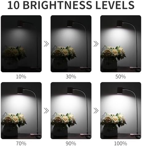 Dott Arts Desk Lamp,USB Clip On Light with 3 Color Modes,LED Reading Lamp