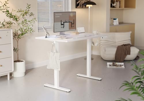 YDN 48 x 24 Inch Warm White Electric Standing Desk