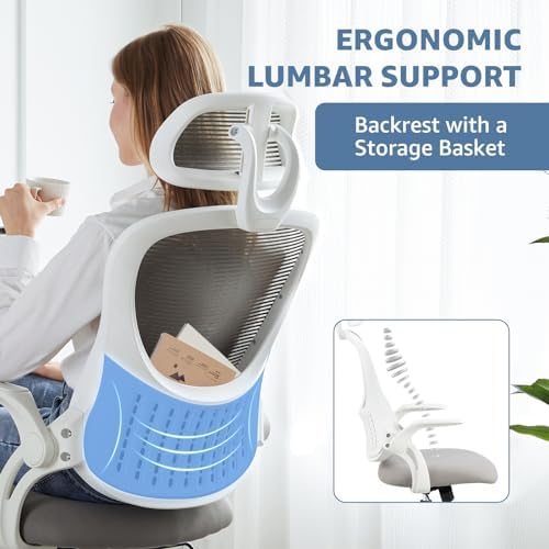 DUMOS Ergonomic Office Chair, Computer Desk Chair, Lumbar Support