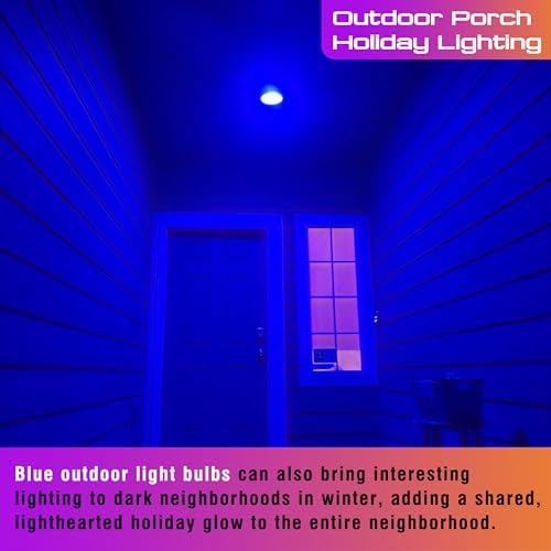 Blue Light Bulb, A15 Blue Christmas Lighting Bulb, 3W 300lm,2 Pack