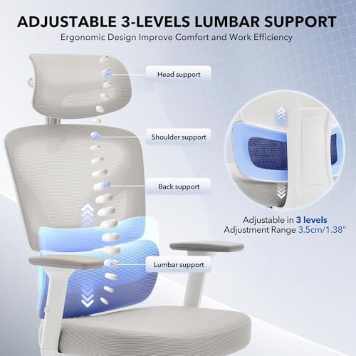 Ergonomic Office Chair with Adjustable Lumbar Support,Grey
