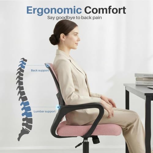 DUMOS Ergonomic Home Office Chair, Lumbar Support Desk Chair