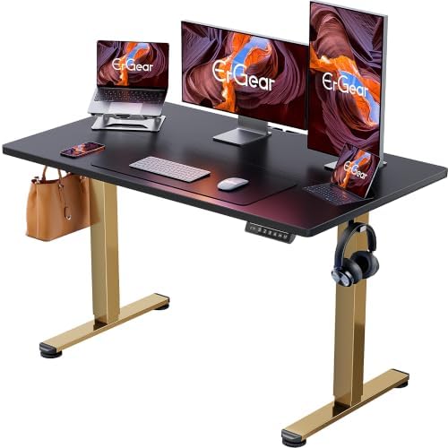 ErGear Height Adjustable Electric Standing Desk, 48 x 24 Inches Sit Stand up Desk, Memory Computer Home Office Desk, Black+Gold