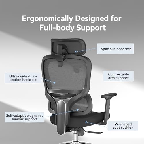 SIHOO M56 Ergonomic Office Chair, Dual Backrest, Adaptive Lumbar Support