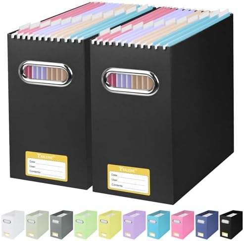 BALEINE 2PK File Organizer Box, Cardboard File Folder Organizer with Handle