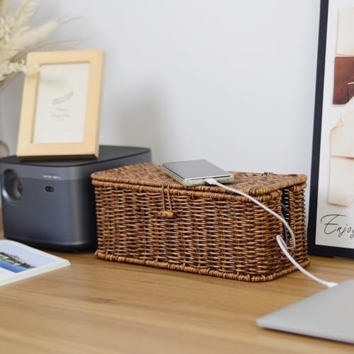 Cable Management Box, Cord Organizer with Lid & Cable Ties - Brown, M