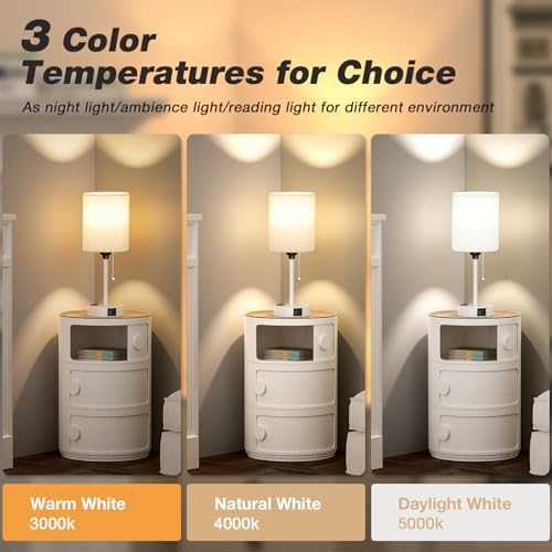 Small Bedside Table Lamp for Bedroom, Desk Lamp with USB Ports for Dorm