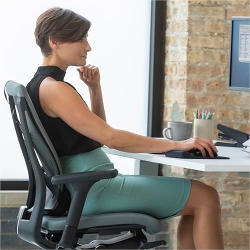 Fellowes Professional Series Back Support, Black (8037601), True (Pack of 2)