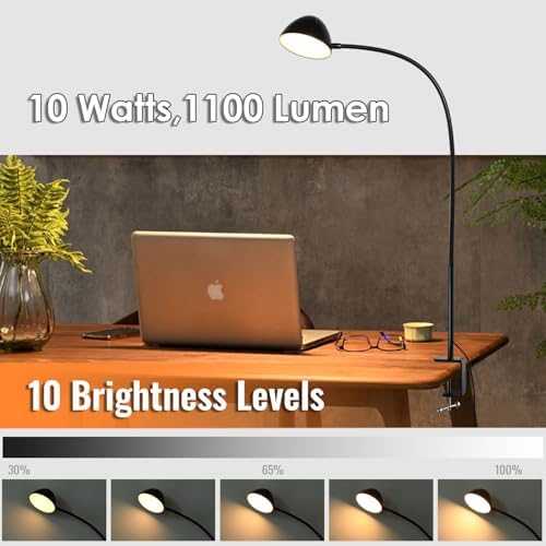 Long Gooseneck Clamp Lamp, Clip Desk Lamp with Clamp, 10W, 1100 LMS, 3 Color Modes, 10 Brightness Levels, 31 Inches Long Flaxible Gooseneck, Perfect for Craft, Reading, Home, Office