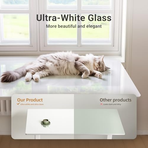 Claiks Glass Standing Desk 40x24 Inch White