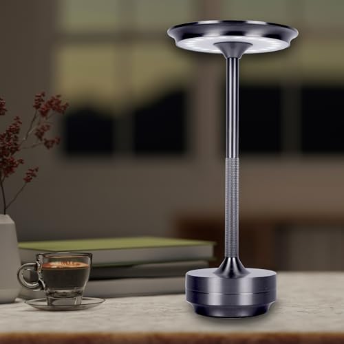 Cordless Table Lamps Rechargeable, Portable Battery Operated Lamp, 3 Color Stepless Dimming LED Table Light with Memory Function, for Outdoor/Dinner/Patio/Restaurant (Dark Silver)