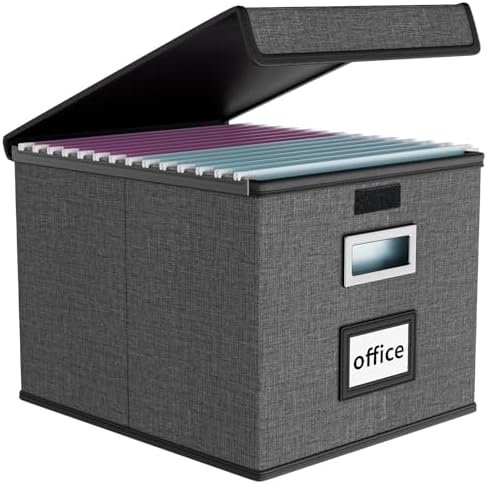 File Organizer Box with Lids, Collapsible File Folder Organizer