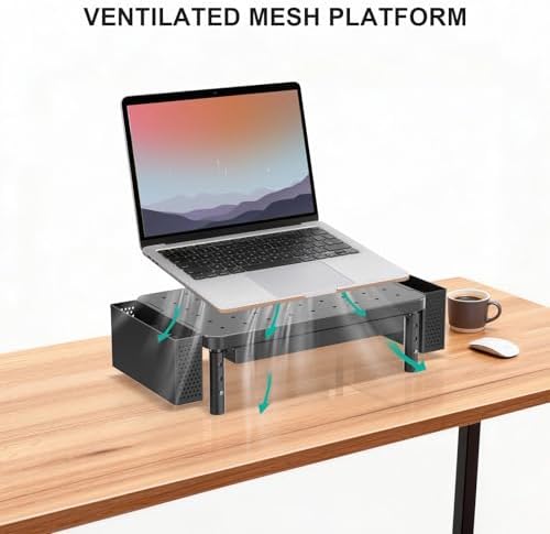WALI Computer Monitor Stand with Storage and Pen Holder