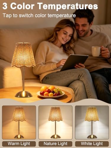 Boho Rattan Table Lamp,Small Wicker Lamp,Rechargeable Led Desk Lamp