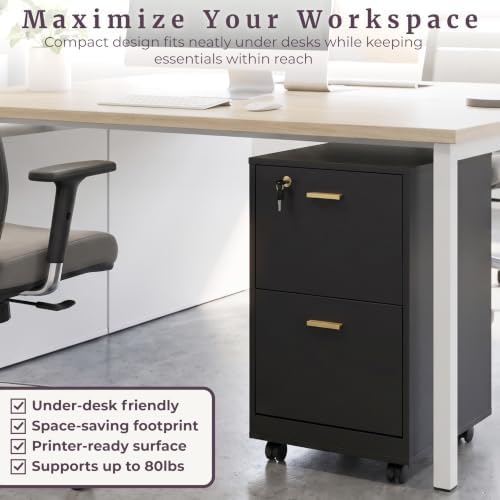 Lavish Home 2-Drawer Wooden File Cabinet with Lock, Black, 16” x 27”