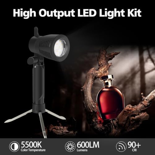 EMART Photography LED Spotlight for Video Recording and Studio,2-Pack