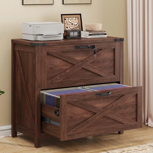 Halitaa Farmhouse Lateral File Cabinet with 2 Drawers, Walnut