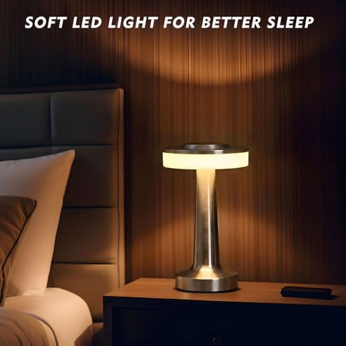 Riakrum 1 Pcs LED Cordless Table Lamp Bulk Rechargeable,Silver