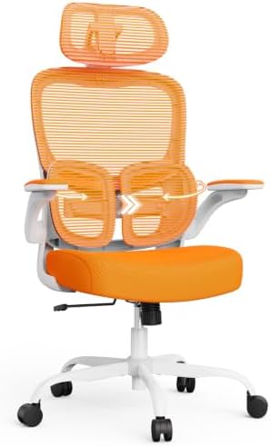 Ergonomic Office Desk Chair, Adjustable Dual Lumbar Support & Thick Seat