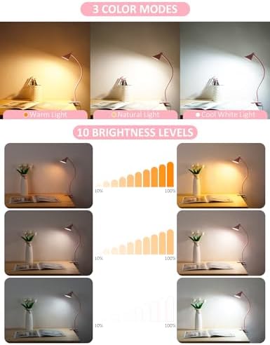 LiFMIRA Pink Small Desk Lamp Clip on LED Reading Light for Bed