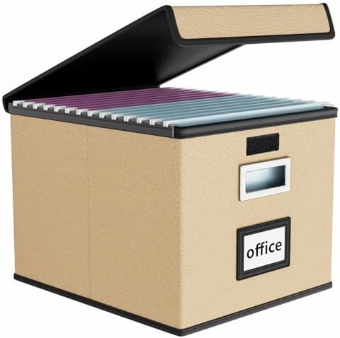 File Organizer Box with Lids, Collapsible File Folder Organizer