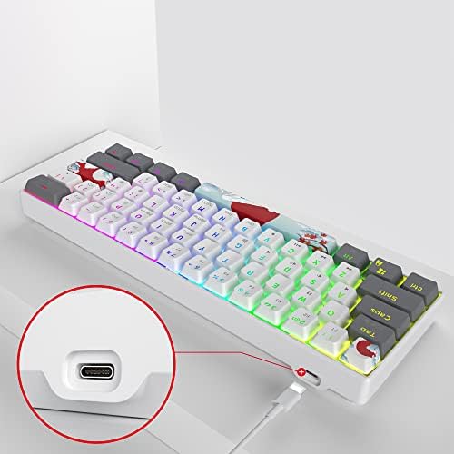 Owpkeenthy RGB Mechanical Keyboard 60 Percent Red Switches