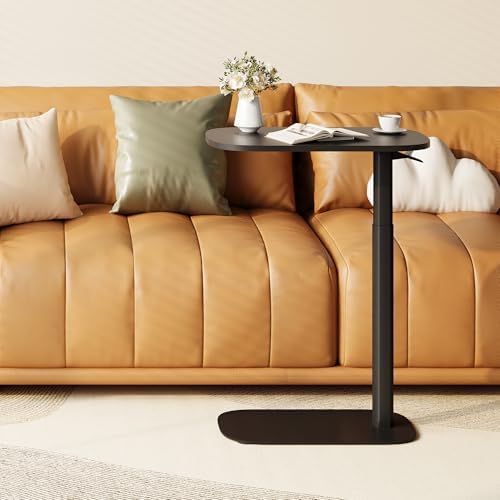 SANODESK 24''Standing Desk Pneumatic Height Adjustable Mobile Overbed Table
