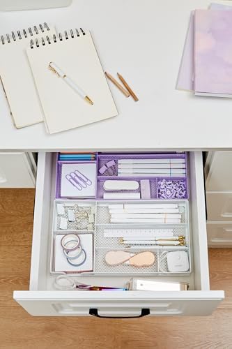 Annova Desk Drawer Organizer Tray for Office Organization - Metal Mesh - Storage Tray with Dividers for Pens, Desktop Accessories, Bathroom, Kitchen, Makeup and Office Supplies (Small, Purple)