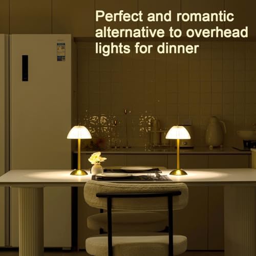 HEQET Cordless Table Lamps for Home,Table,Dining Room, Gold Rechargeable Lamps, USB Charge 12'' Tall LED Brass Portable Outdoor Indoor Table Lamp with Built-in Dimmer (Pack2-Gold Lamp)