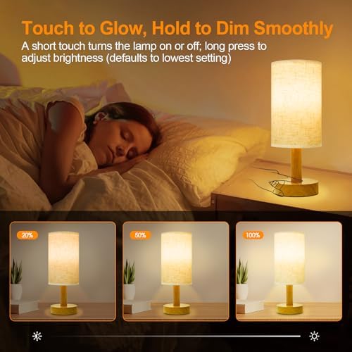 Rechargeable Cordless Table Lamp, Touch Stepless Dimming with Memory