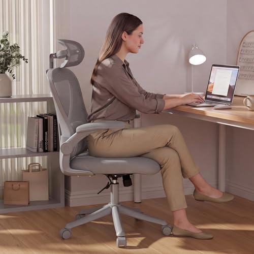 Ollega Ergonomic Office Chair with Memory Foam Seat, Computer Desk Chair