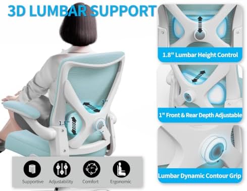 Ergalithic Office Chair: Mesh Ergonomic Desk Chair with 3D Lumbar & Swivel