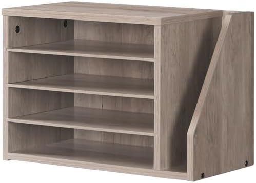 HOOBRO Mail Sorter, Literature Organizer with Adjustable Shelves, Paper Organizer for Office, Home, Wood Countertop Mail Sorter, File Holders, Magazines, Greige BG41WF01N1