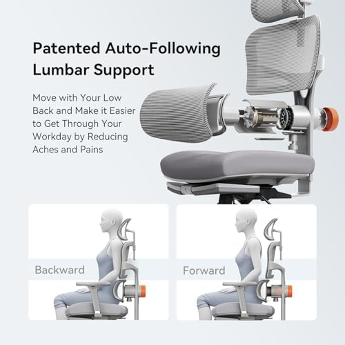 Newtral Ergonomic Office Chair - Home Office Desk Chair, Big and Tall Office Chair, Auto-Following Lumbar Support for Back Pain, Adjustable Seat Depth and Height (with Footrest, Gray)