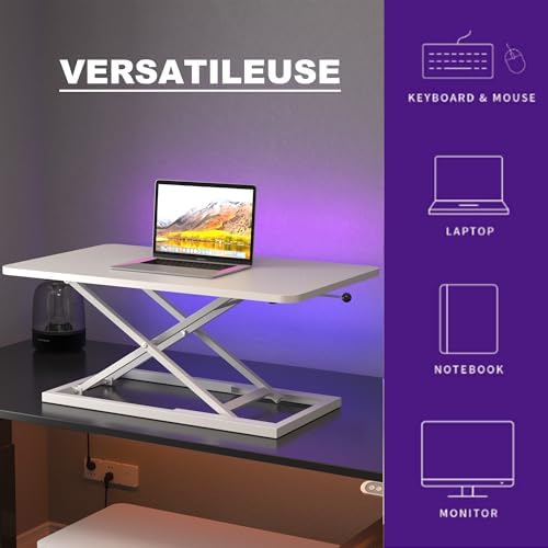 Decoholic 24 inch Height Adjustable Standing Desk Converter（White
