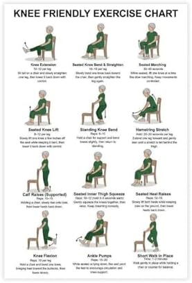 Knee Exercises for Seniors Gentle Knee Strength Mobility Friendly Chair Exercises Senior Fitness Canvas Poster Wall Art for Living Room Bedroom Decor Unframe 16x24inch