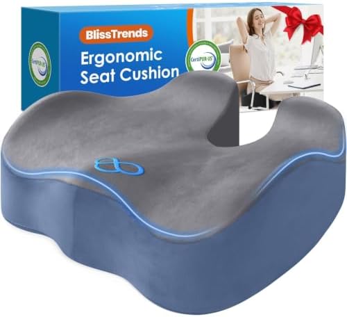 BlissTrends Thick Seat Cushion for Office Chair & Car Seat, XL, Grey&Blue