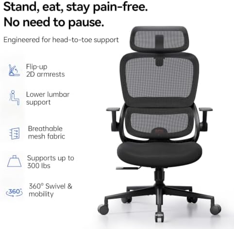 SIHOO B100 SE Ergonomic Office Chair, Desk Chair with Lumbar Support
