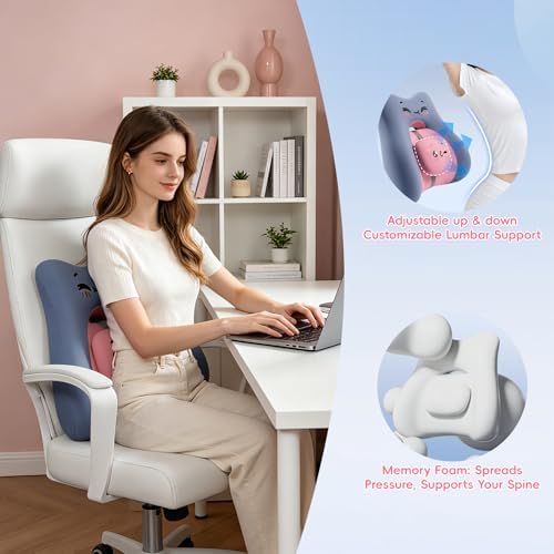 BEBAS Ergonomic Memoery Foam Lumbar Support Pillow for Car & Office, Blue