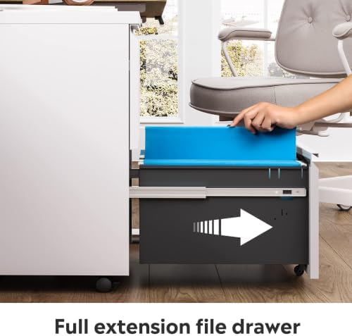 DEVAISE 2 Drawer File Cabinet with Lock for Home Office, Fully Assembled