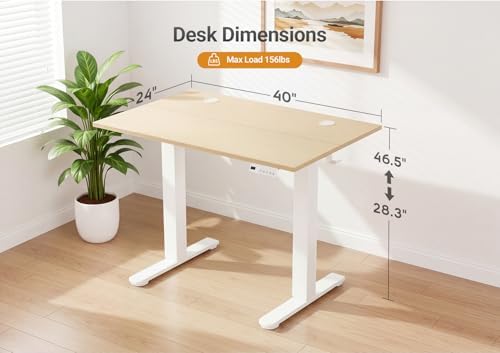YDN Electric Standing Desk, 40x24 Inch, Nature