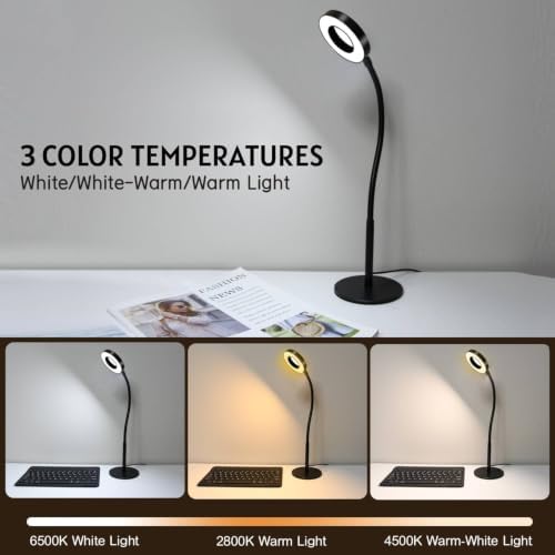 6W LED Desk Lamp with Gooseneck and US Adapter