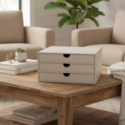 UnionBasic Document Organizer, 3-Drawer File Cabinet Document Storage Box, Office Desktop Filing Organizer, Feather Gray