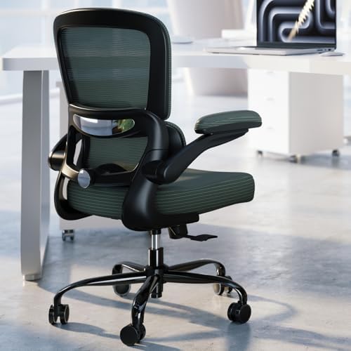 TRALT Ergonomic Office Chair Desk Chair with Adjustable Lumbar Support