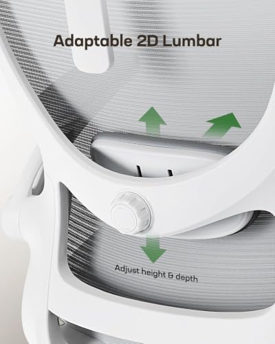 Marsail Ergonomic Office Chair with 3D Armrests, Pack of 2