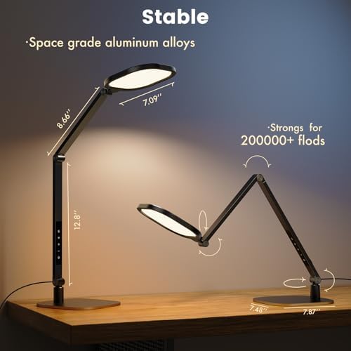 LitONES 2 Packs Desk Lamp for Home Office Zoom Video Calls-Black